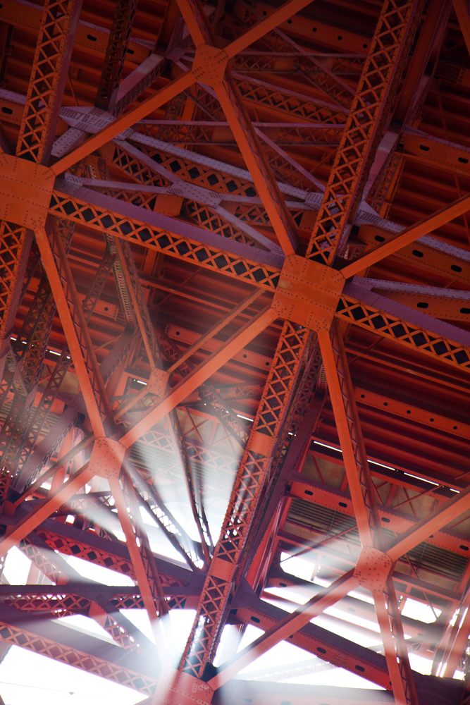 Mike Mehiel Photography - 