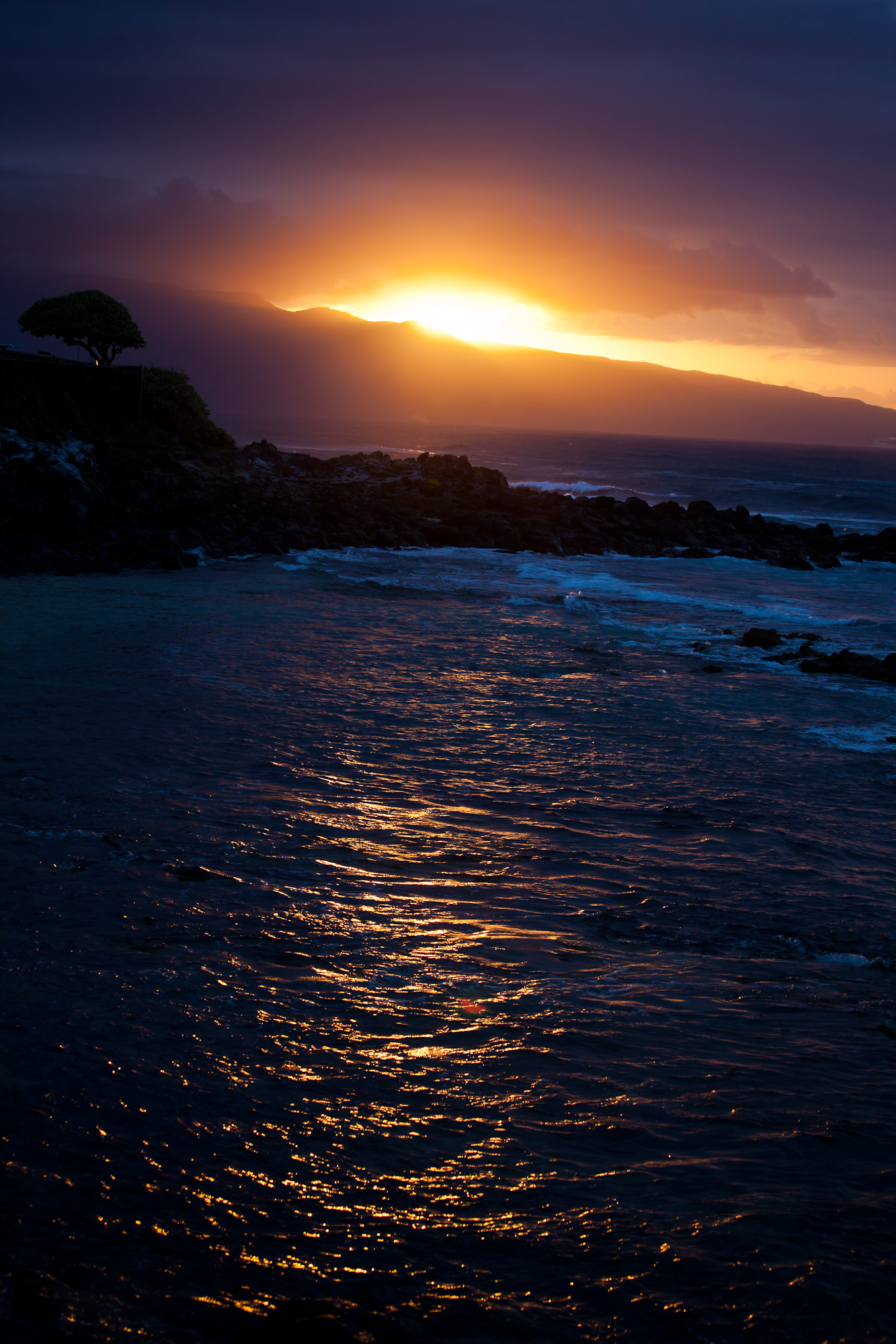 Mike Mehiel Photography - 